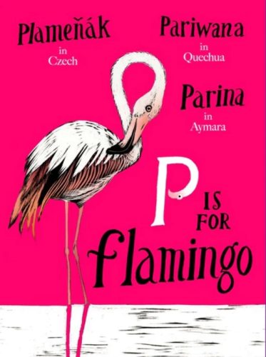A is van Bij flamingo